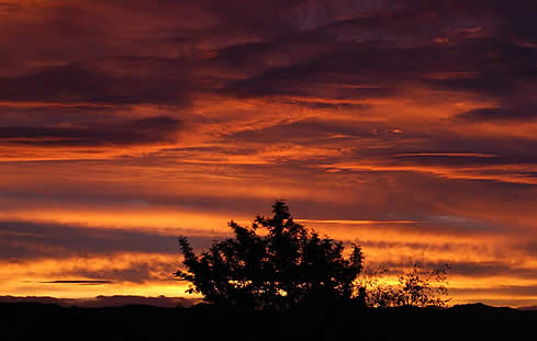 Maori Sunset. Bay of Islands  New Zealand.